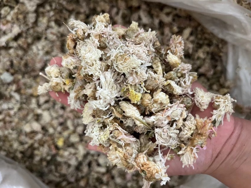 【顺欣药材】菊花药用菊花价格优惠极速发货