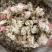 【顺欣药材】菊花药用菊花价格优惠极速发货