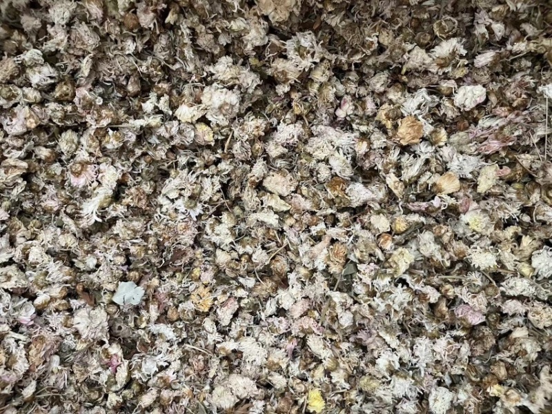 【顺欣药材】菊花药用菊花价格优惠极速发货