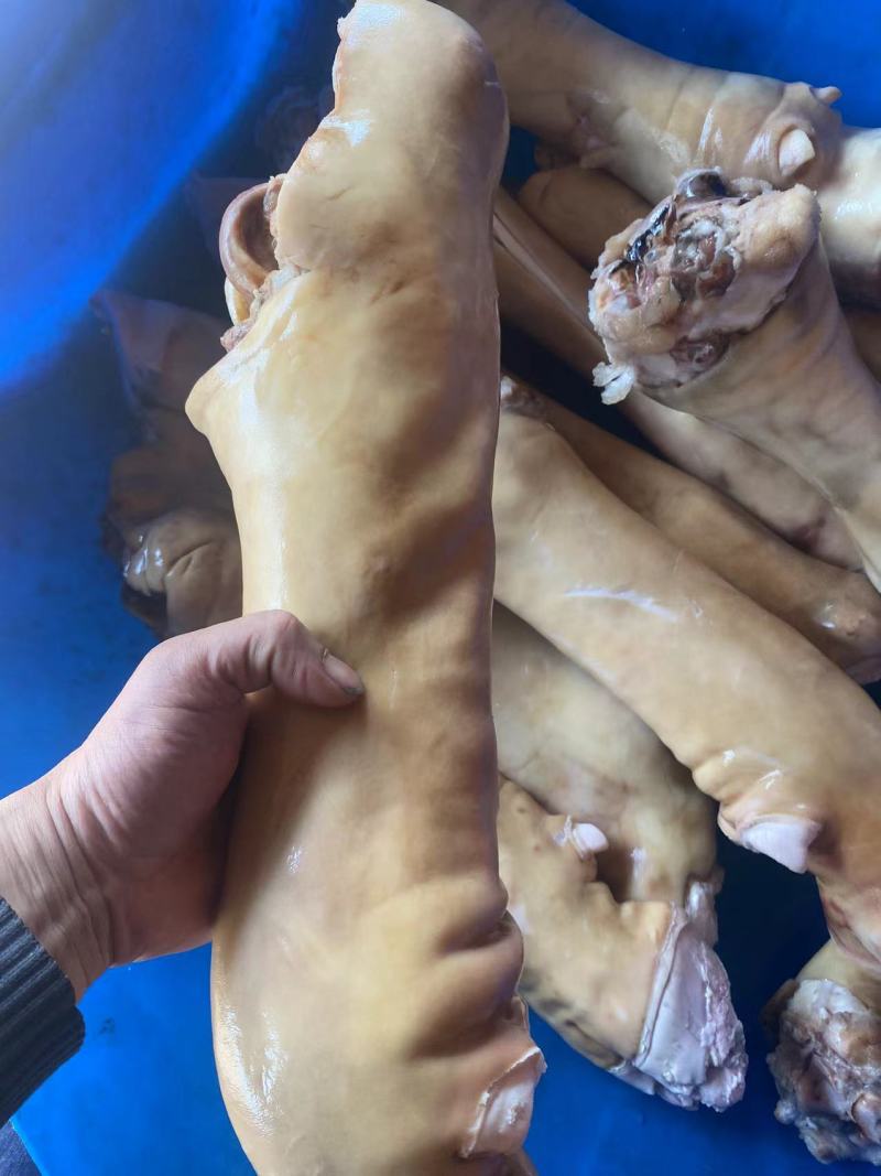 牛蹄，厂家直销，大量有货，欢迎各位老板咨询采购