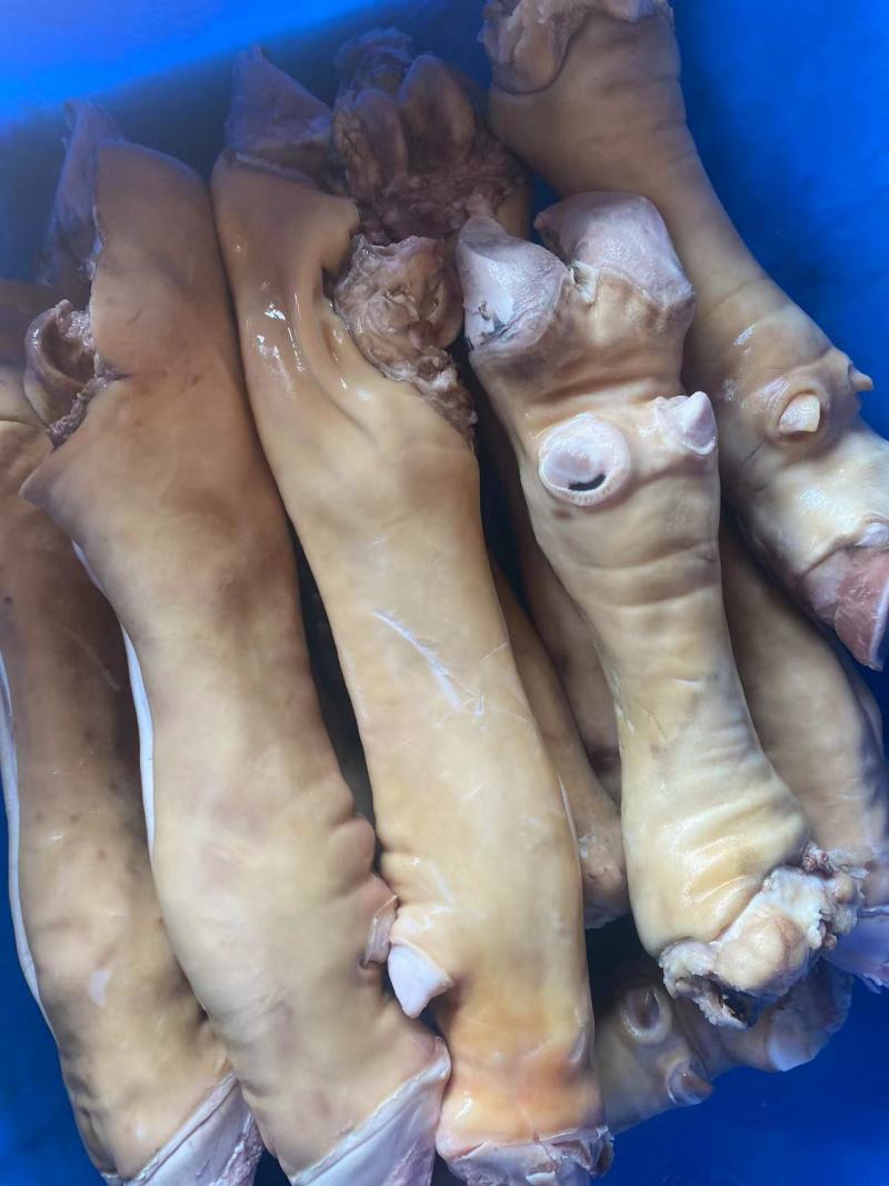 牛蹄，厂家直销，大量有货，欢迎各位老板咨询采购