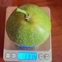 钦蜜九号黄金百香果，甜蜜百香果，代办，代发货源，