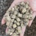【顺欣药材】牛膝怀牛膝干净无杂质地道药材价格优惠