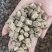 【顺欣药材】牛膝怀牛膝干净无杂质地道药材价格优惠