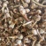云南精品茨菇产地直销大量上市欢迎来电