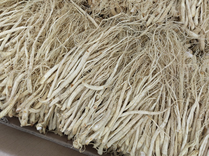 长白山西洋参腿丁须，无硫磺熏，一手货源，可代发货。