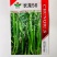 长龙56线椒种子辣椒苗超辣四季香辣高产大长蔬菜种籽