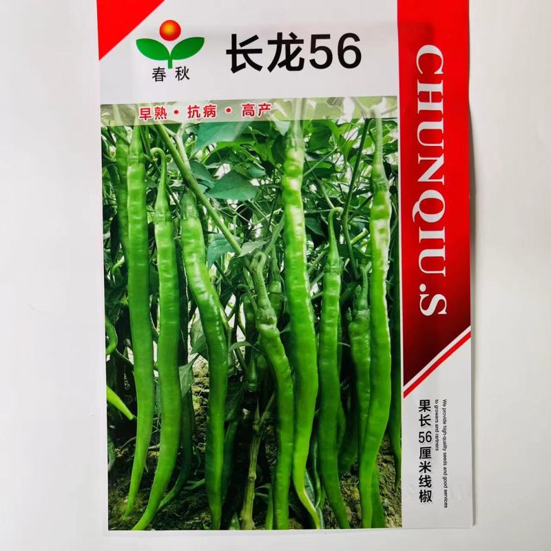 长龙56线椒种子辣椒苗超辣四季香辣高产大长蔬菜种籽