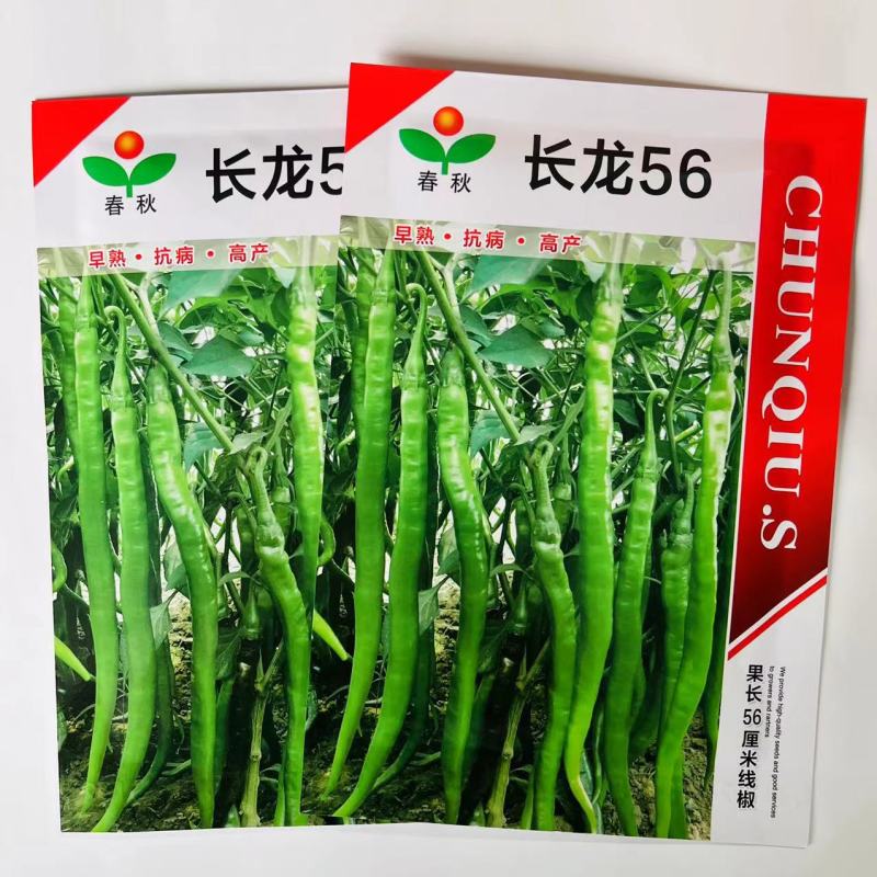 长龙56线椒种子辣椒苗超辣四季香辣高产大长蔬菜种籽