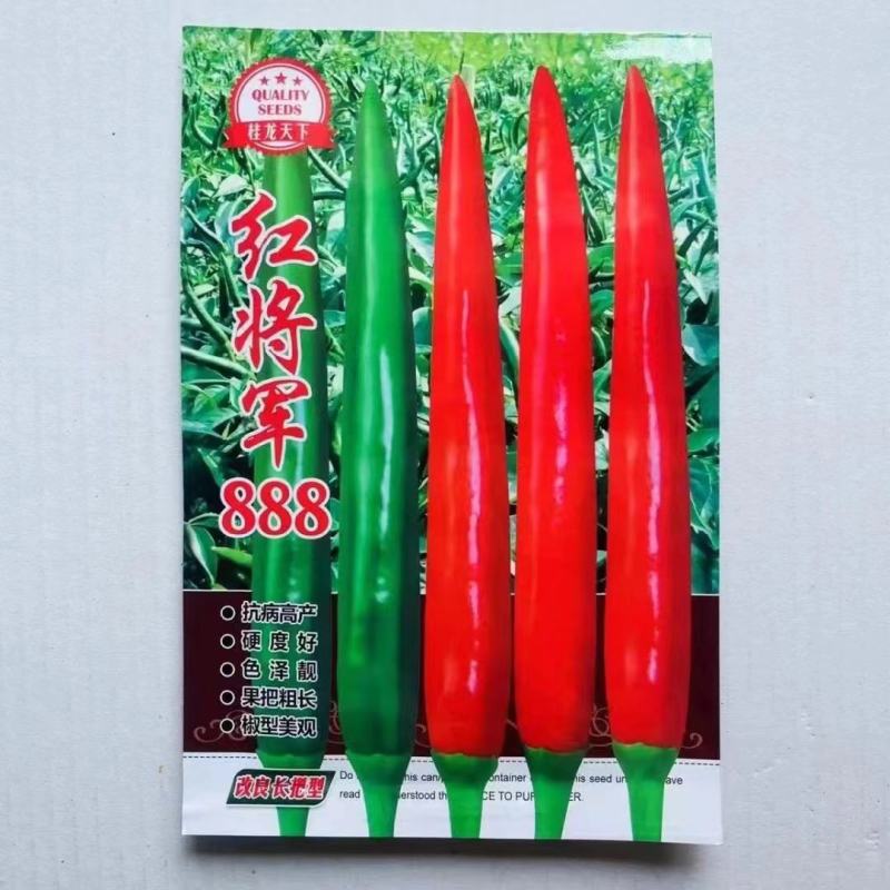 新品种富乔9号大果朝天椒种子青红两用朝天辣椒种子尾期果大