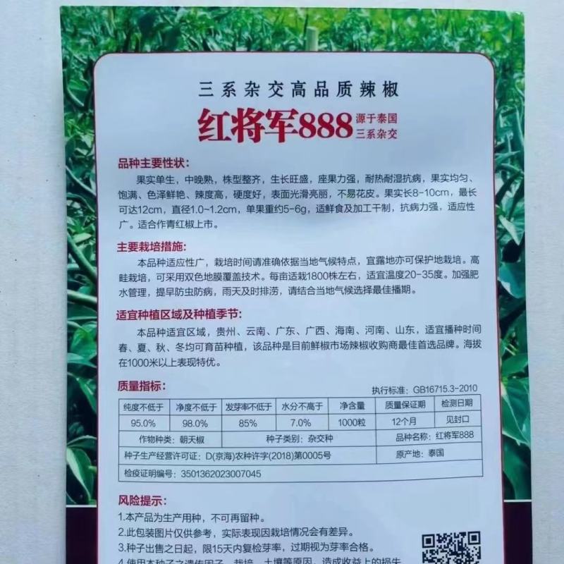 新品种富乔9号大果朝天椒种子青红两用朝天辣椒种子尾期果大