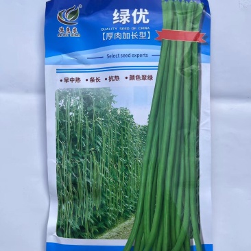 绿优早熟豇豆种子耐热品种翠绿色长豇豆种子