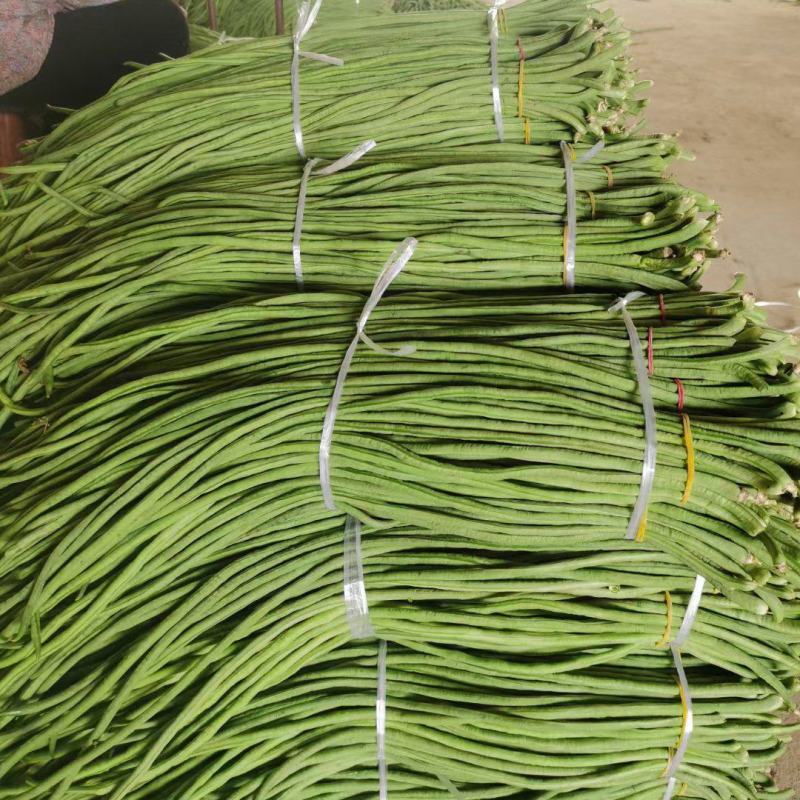 精品青豆角保质保量大量供应电商市场，有需要的老板可以联系