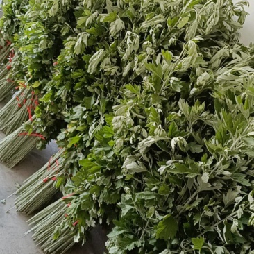 端午艾草支持定制