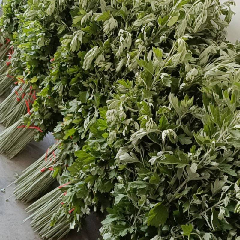 端午艾草支持定制