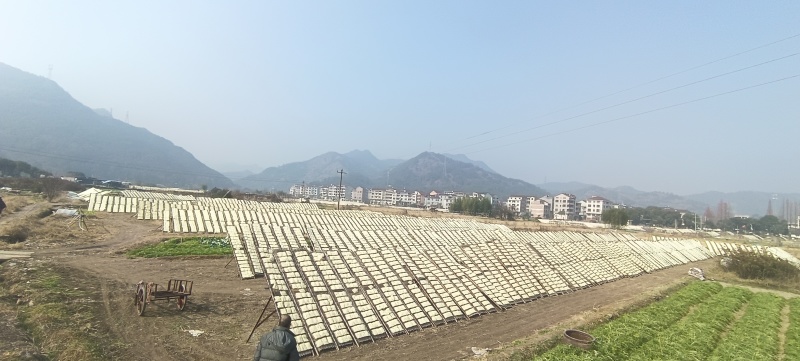 东阳粉干细粉干水磨粉干