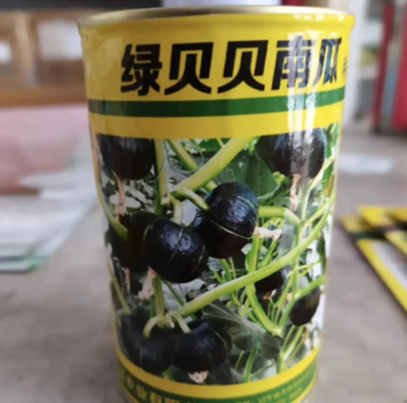 贝贝南瓜种子超甜绿贝贝小南瓜种籽四季甜面糯露天大棚种植