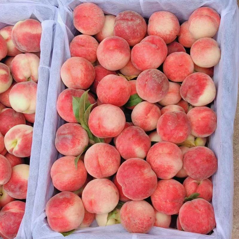 湖北毛桃突围小红桃口感脆甜多品种产地按需采摘包装发货