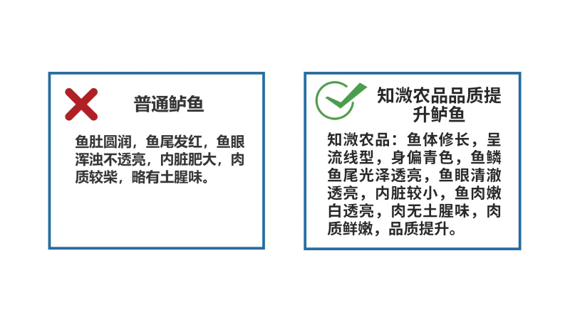 淡水养殖鲈鱼，非土塘养殖。肉质鲜嫩，养殖基地直接发货
