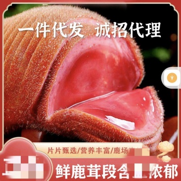鹿茸头鹿茸段鹿茸片头茬二杠子含血量足电商待发货货源充足