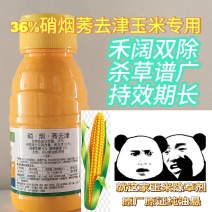 玉米苗后除草剂玉米除草剂36%硝烟莠去津禾阔双除玉米