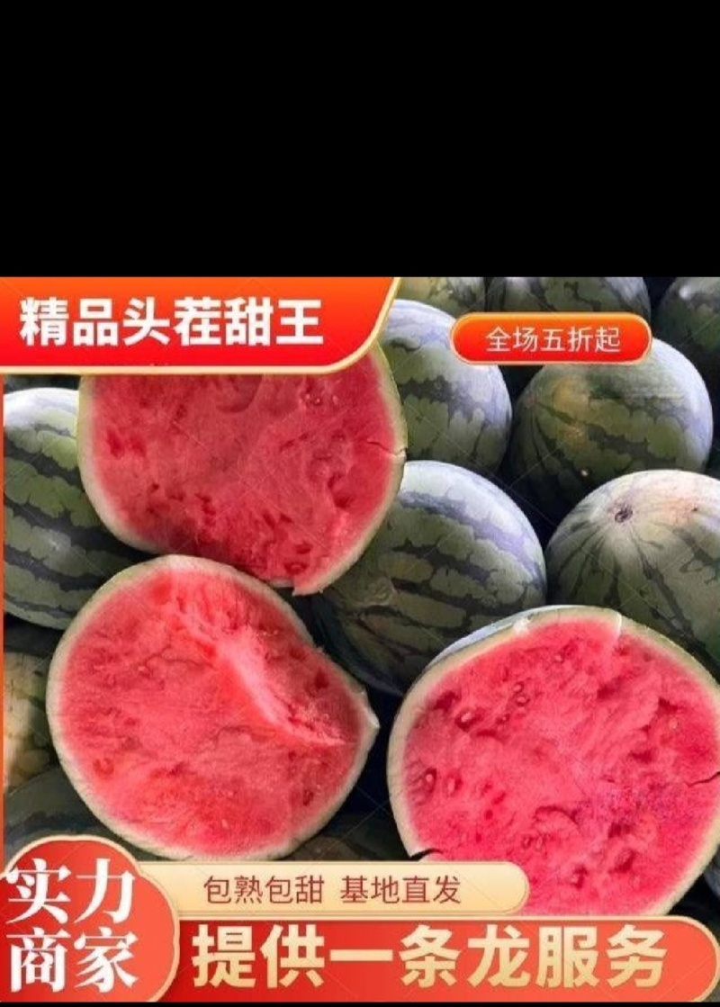 万亩美都西瓜基地现摘现发诚信热销直供全国市场商超
