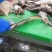 饲料鳕鱼排
