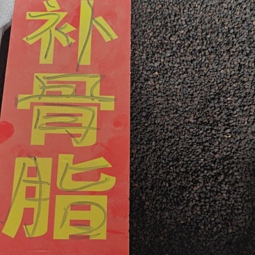 补骨脂