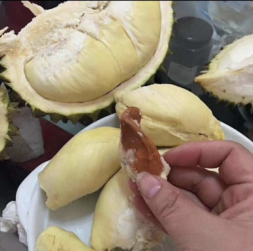 展示金枕头榴莲的果肉剖面,果肉饱满、颜色金黄,质地细腻 金枕头榴莲果肉剖面图