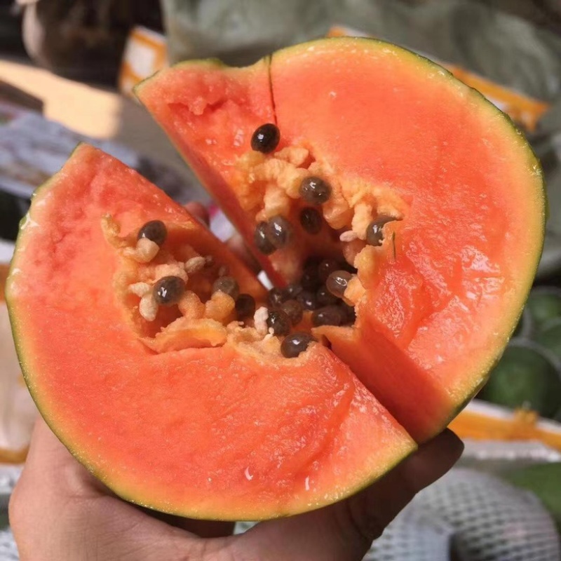 红心牛奶木瓜甜蜜滑嫩一件代发新鲜直达