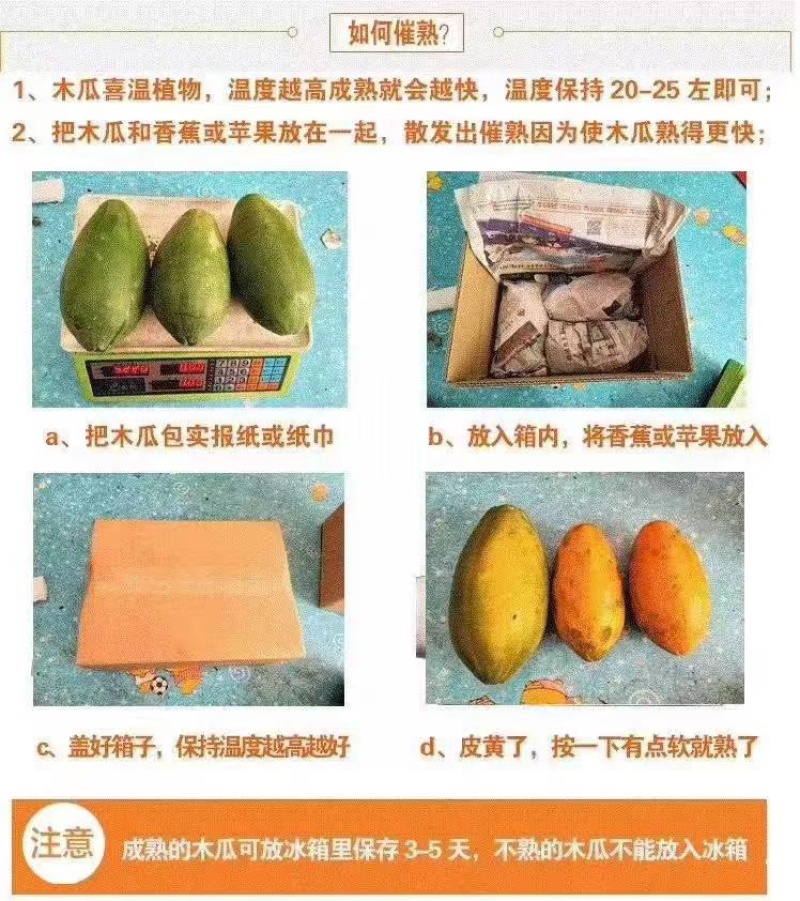 红心牛奶木瓜甜蜜滑嫩一件代发新鲜直达