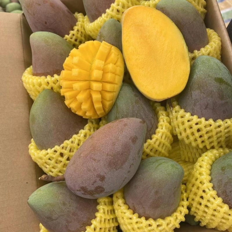 贵妃芒海南老树一件代发可以直接下单水润甜蜜