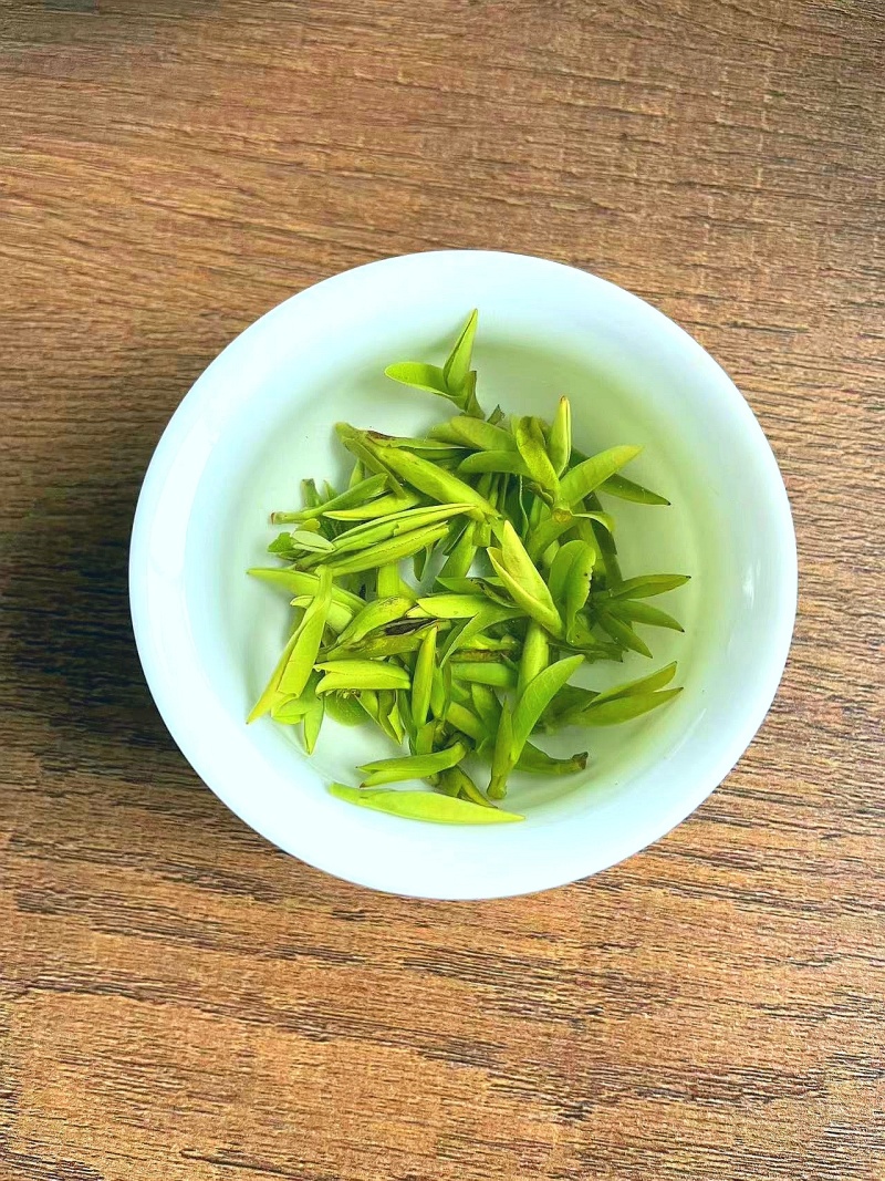 2024明前开园头采黄芽毛峰（金寨黄芽A001）高山绿茶