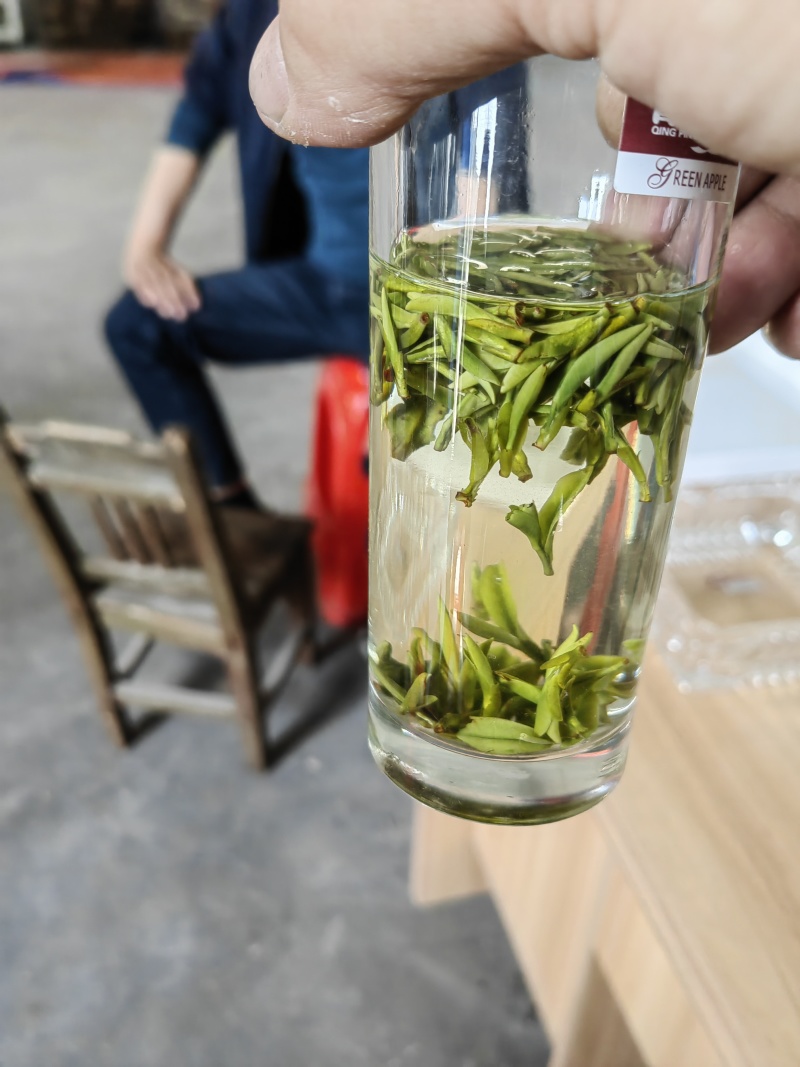 2024明前开园头采黄芽毛峰（金寨黄芽A001）高山绿茶