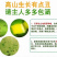 贵妃芒海南老树一件代发可以直接下单水润甜蜜