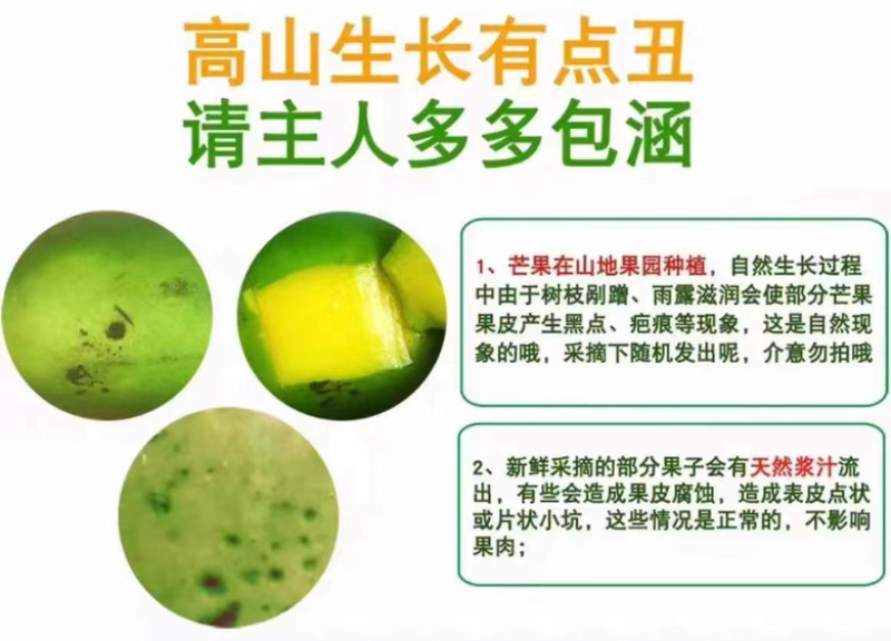 贵妃芒海南老树一件代发可以直接下单水润甜蜜