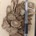 木香，实物拍摄，纯干无硫，产地一手货源大统货【丹丹中药】