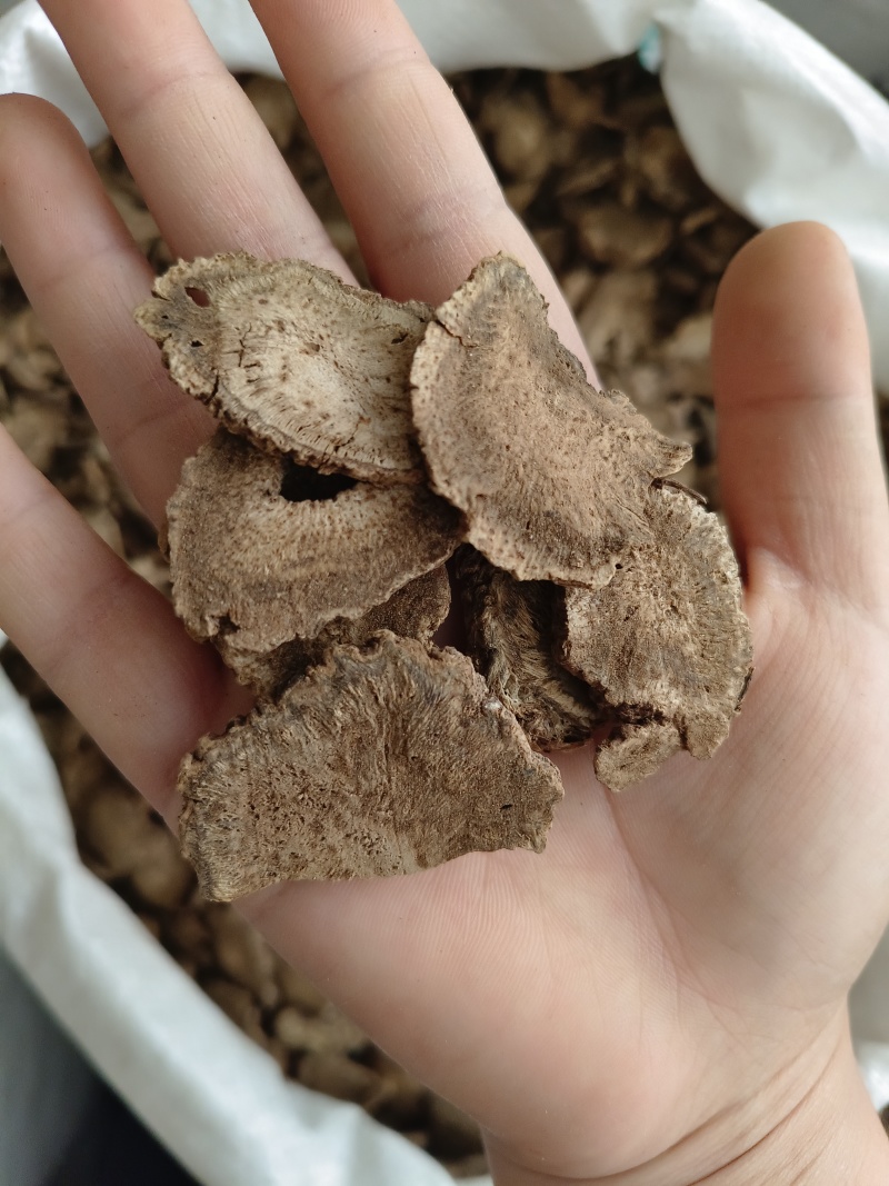 木香，实物拍摄，纯干无硫，产地一手货源大统货【丹丹中药】