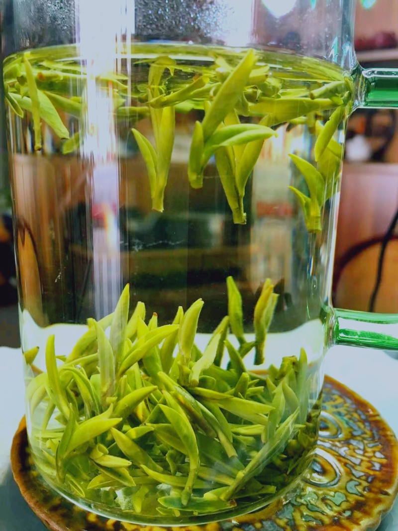 （明前黄芽A11）2024金寨黄芽毛峰头采小嫩芽鲜嫩浓郁