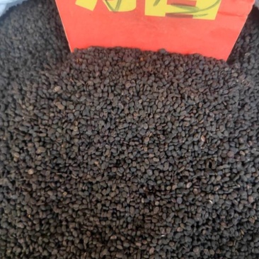 补骨脂欢迎电话咨询