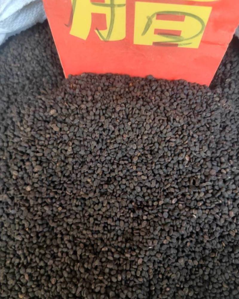 补骨脂欢迎电话咨询