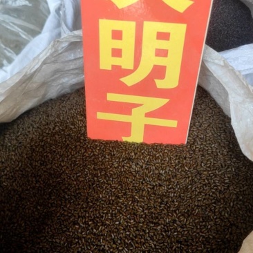 决明子欢迎电话咨询