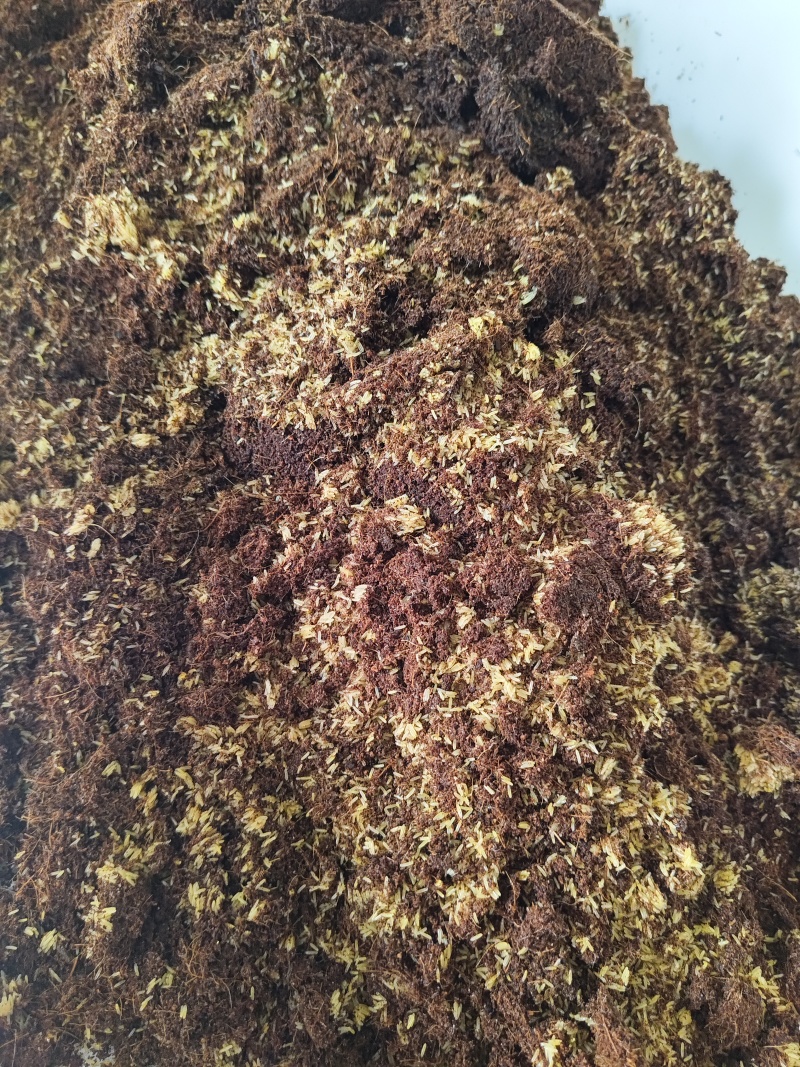 蟋蟀苗，蟋蟀卵，蟋蟀养殖技术，蟋蟀回收