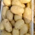 精品土豆黄心土豆基地直发对接商超市场量大从优