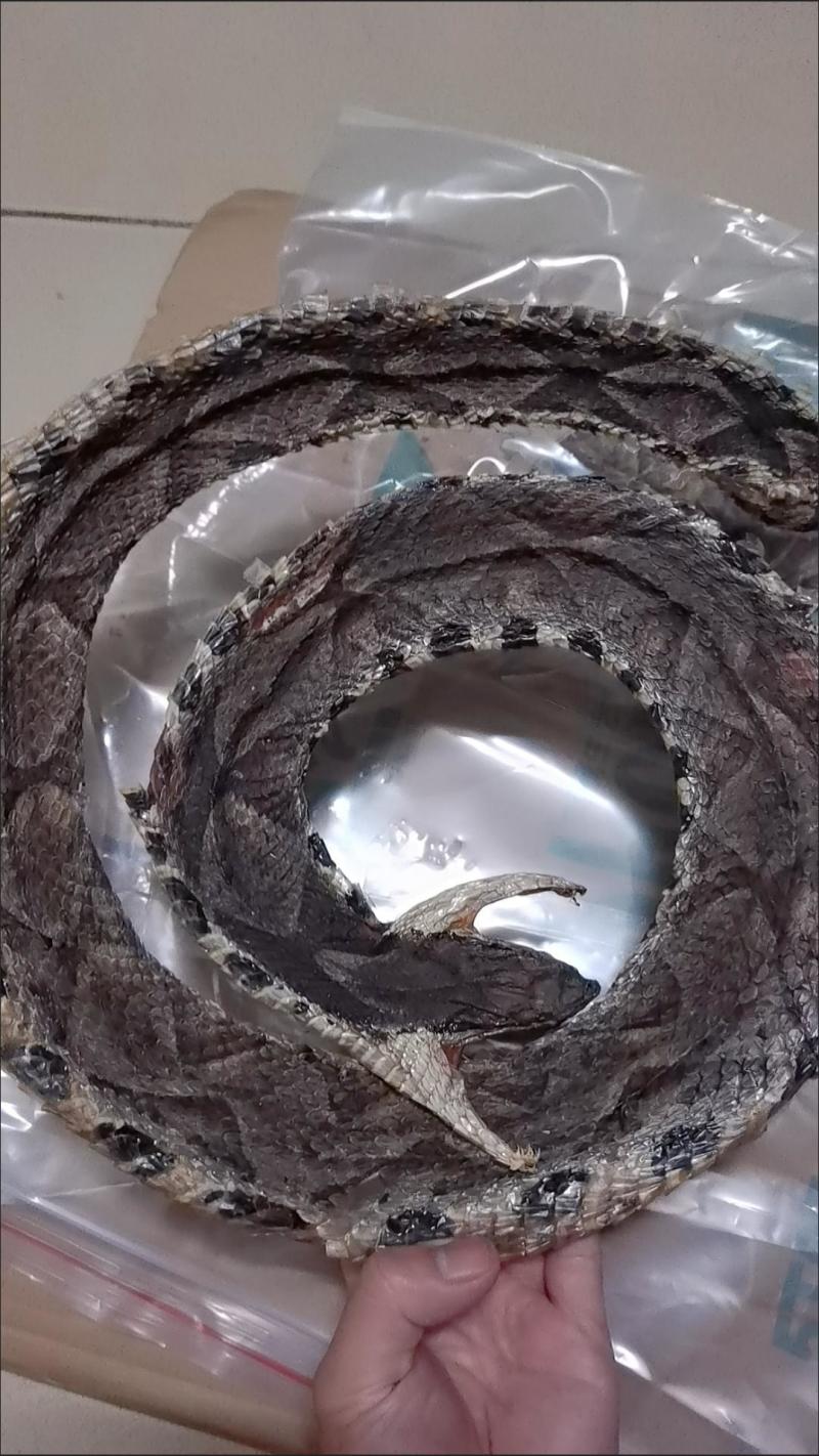 蕲蛇干