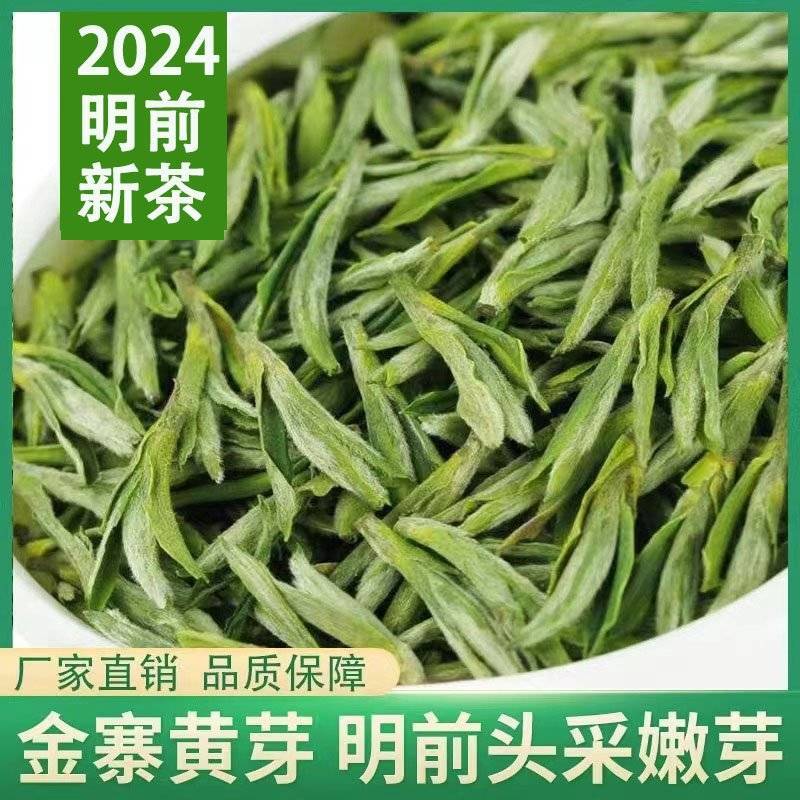 （金寨黄芽A21）2024新茶明前黄芽毛峰滋味鲜爽甘甜