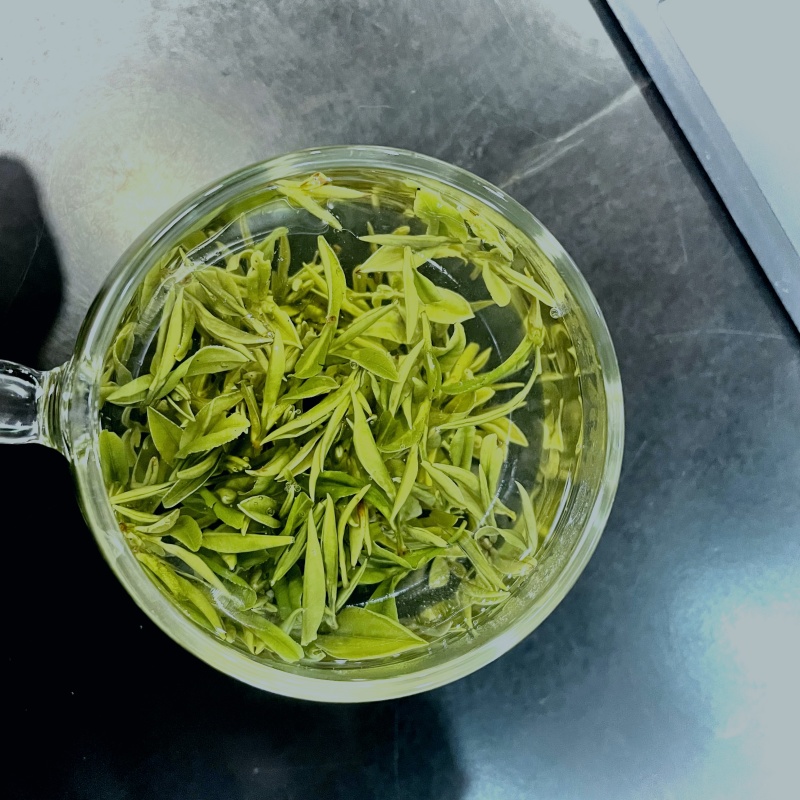 （金寨黄芽A21）2024新茶明前黄芽毛峰滋味鲜爽甘甜