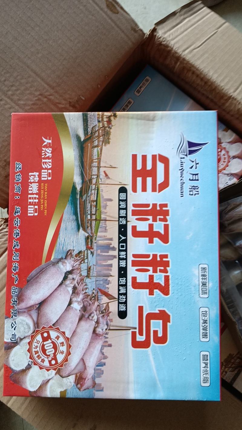 满籽籽乌全籽带籽新鲜笔管鱼小墨鱼鱿鱼冷冻海兔子