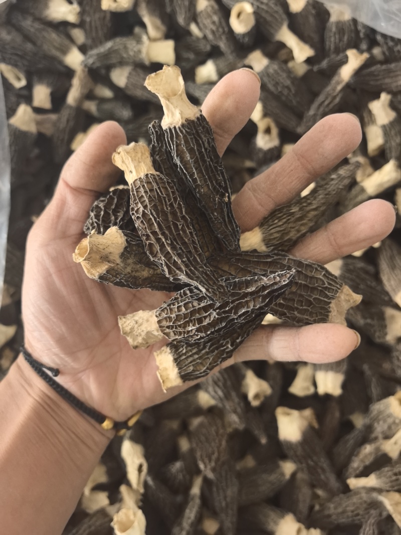 羊肚菌干货六妹5-7