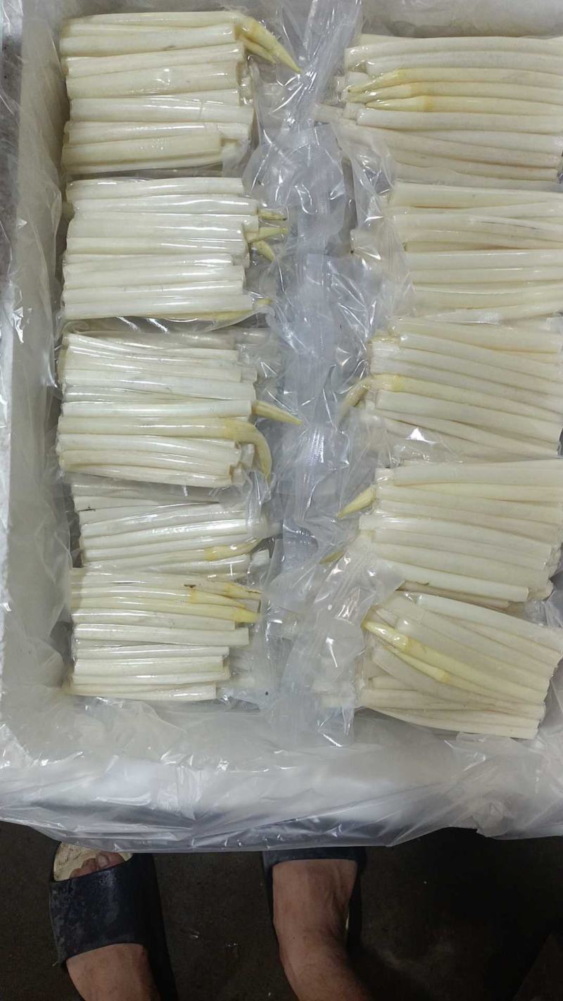 湖北新鲜藕带大量供应品质保证诚信经营欢迎老板来电